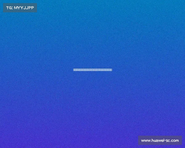 德甲球迷文化深度解析：激情氛围与独特传统的完美交融