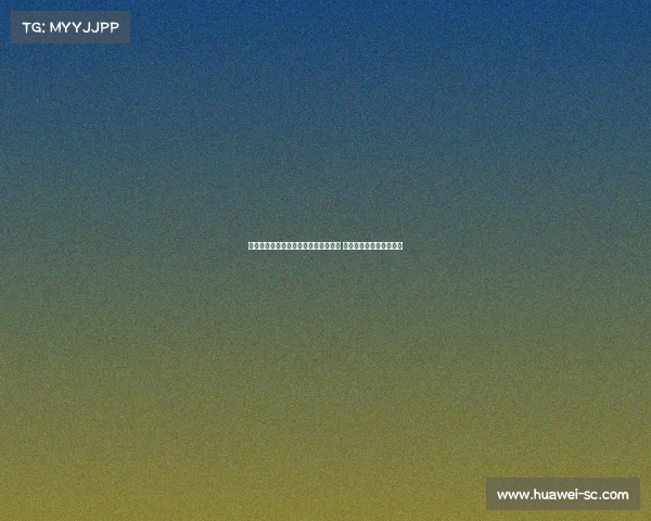 维特塞尔:赫罗纳管理模式与马竞相似 我或能担任中场核心角色 维特塞尔:赫罗纳管理模式与马竞相似 我或能担任中场核心角色