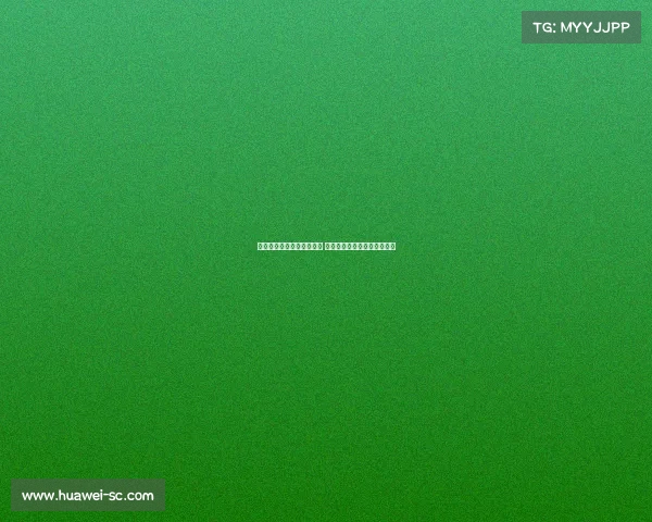 杨瀚森联合试训表现引关注 积极主动攻防风格获多队青睐 杨瀚森联合试训表现引关注 积极主动攻防风格获多队青睐