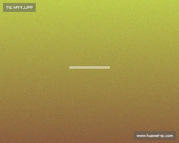 德泽尔比透露曾有俱乐部联系拉比奥但他未考虑任何转会兴趣